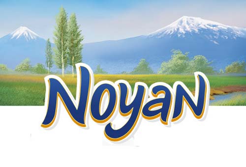 Noyan