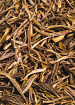 Зеленый чай Хуаншань Маофэн (высшая категория)