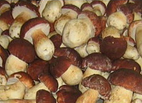Белые грибы, резаные "Ardo"
