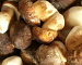 Белые грибы целые, 4-8 см